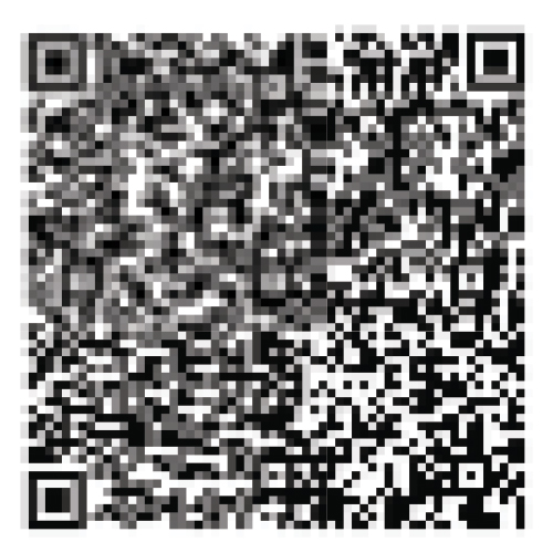 QR Code 7
